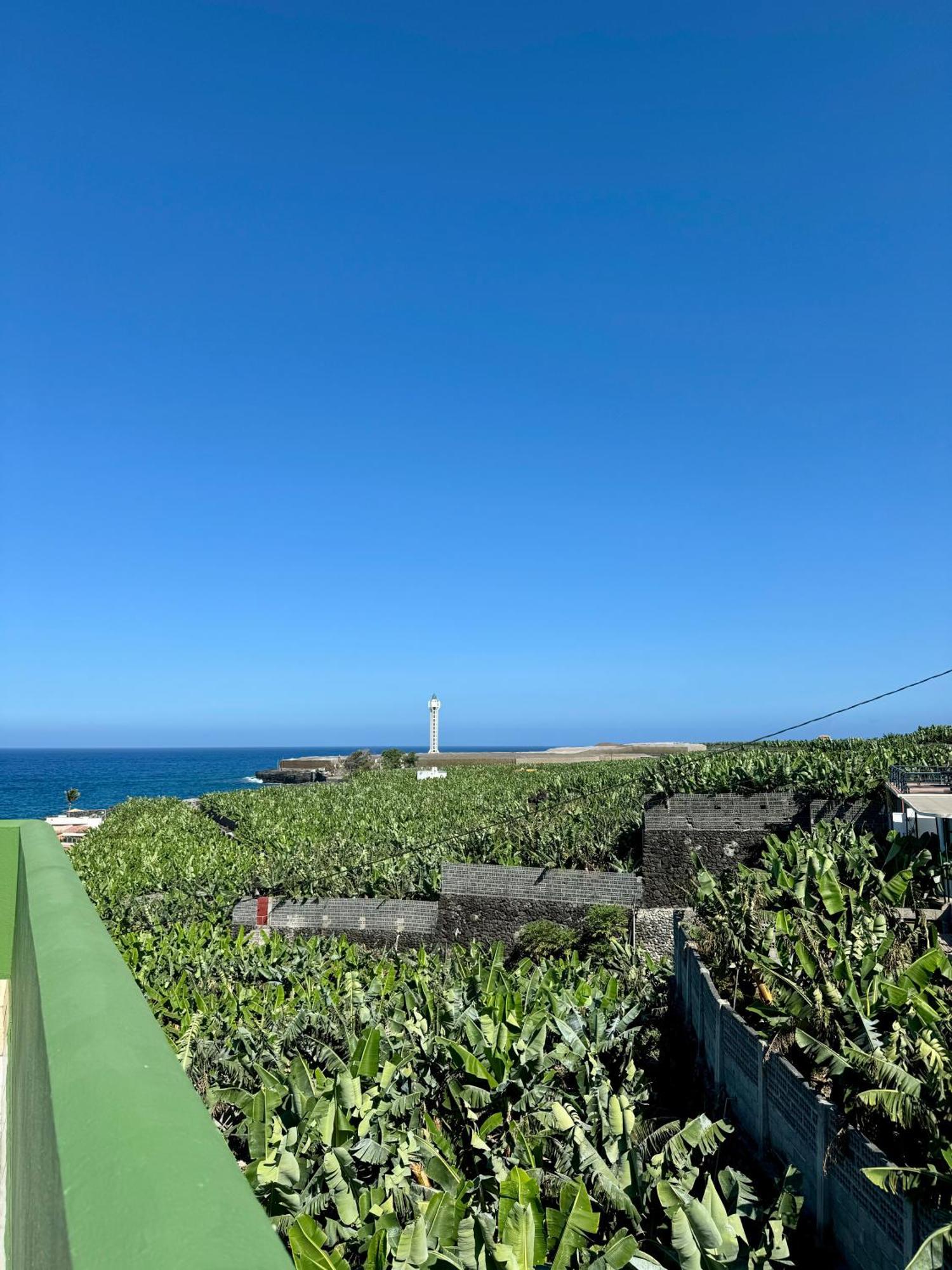 Mangos Mar B Lejlighed Puerto De Naos Eksteriør billede